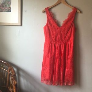 Poppy Lace Willa Cocktail Dress